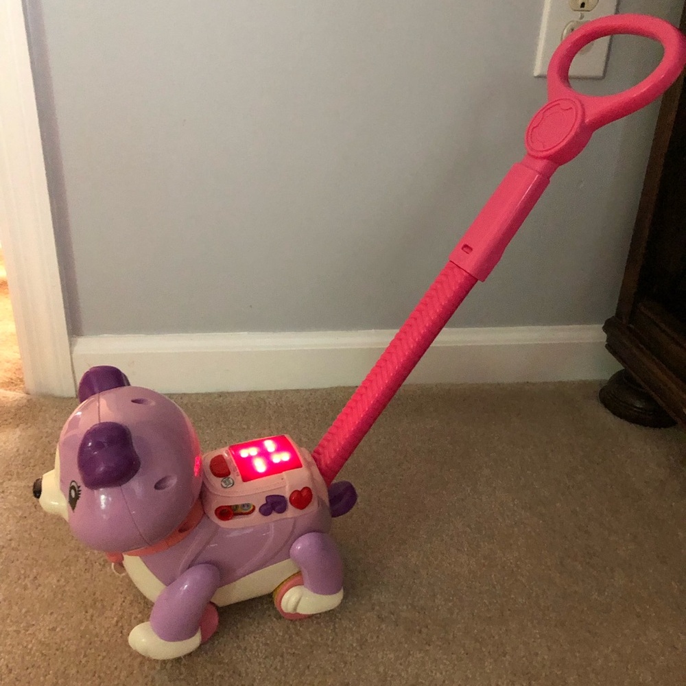 Pink & Purple Puppy Push Walker with Light-Up Buttons